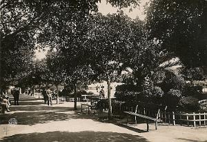 JARDIN DU PETIT VICHY